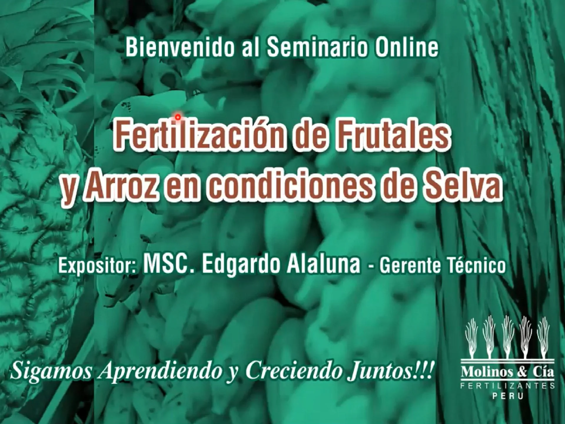 Fertilización de Frutales y Arroz en condiciones de Selva