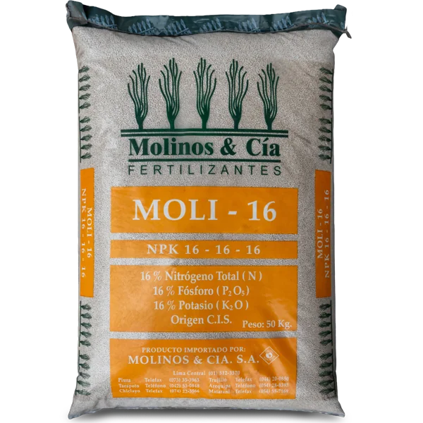 Moli – 16