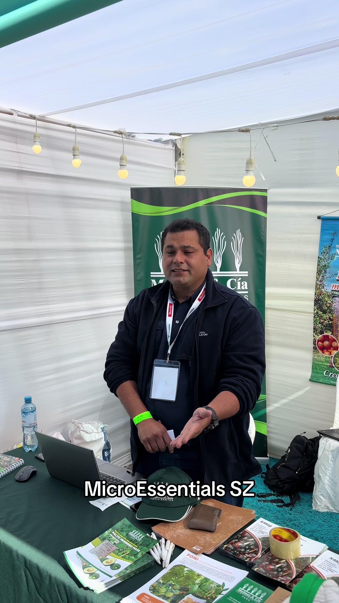 Experiencias en el cultivo de palto