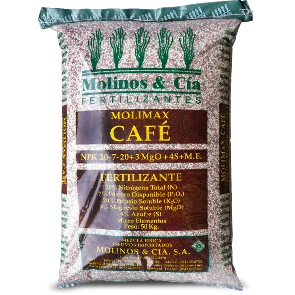Molimax Café