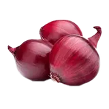 Cebolla