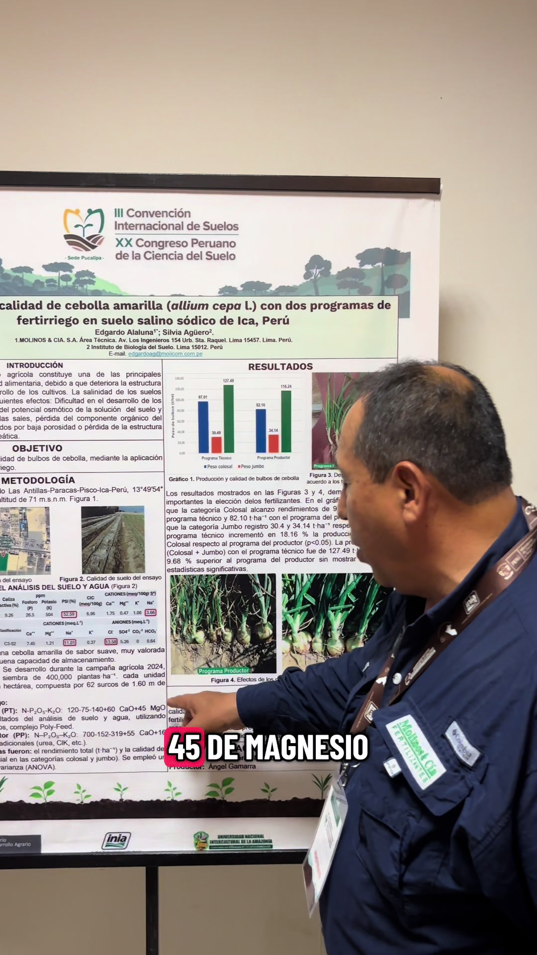 Evaluación de dos programas dé fertirriego en el cultivo de cebolla amarilla