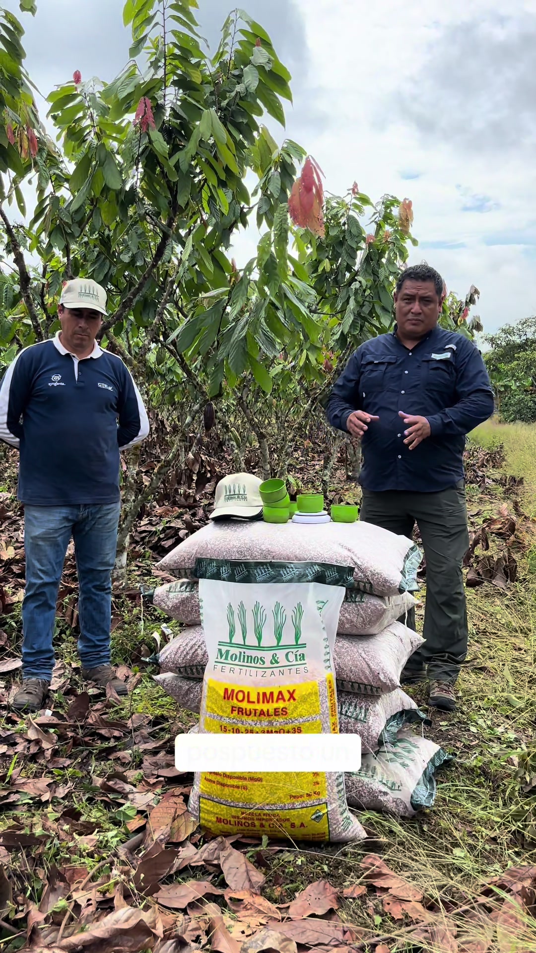 Experiencias en cacao